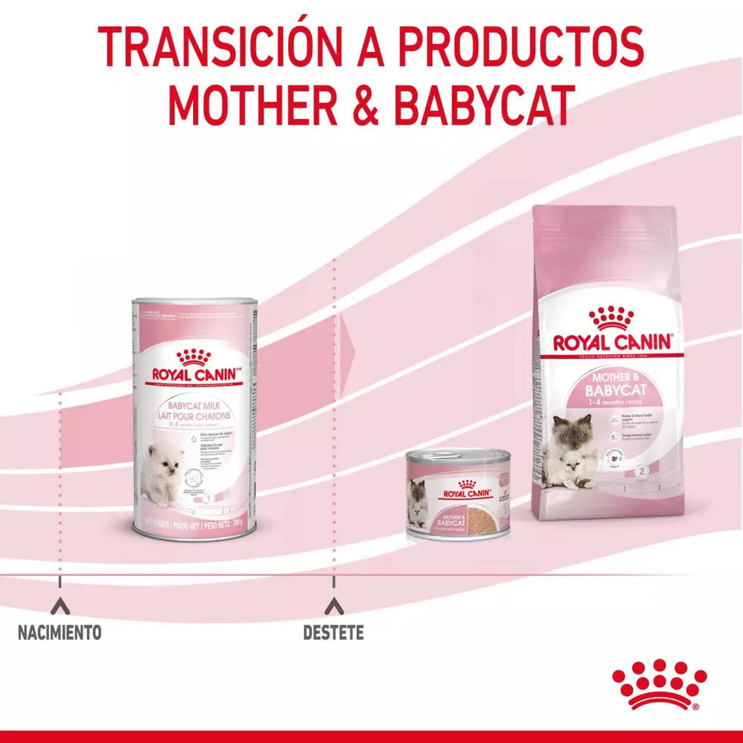 LECHE DE SUSTITUCIÓN PARA GATITOS ROYAL CANIN 300GR - 9