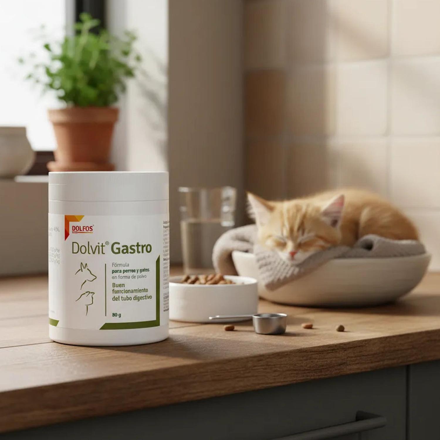 SUPLEMENTO DOLVIT GASTRO PARA PERROS Y GATOS 80GR - 7