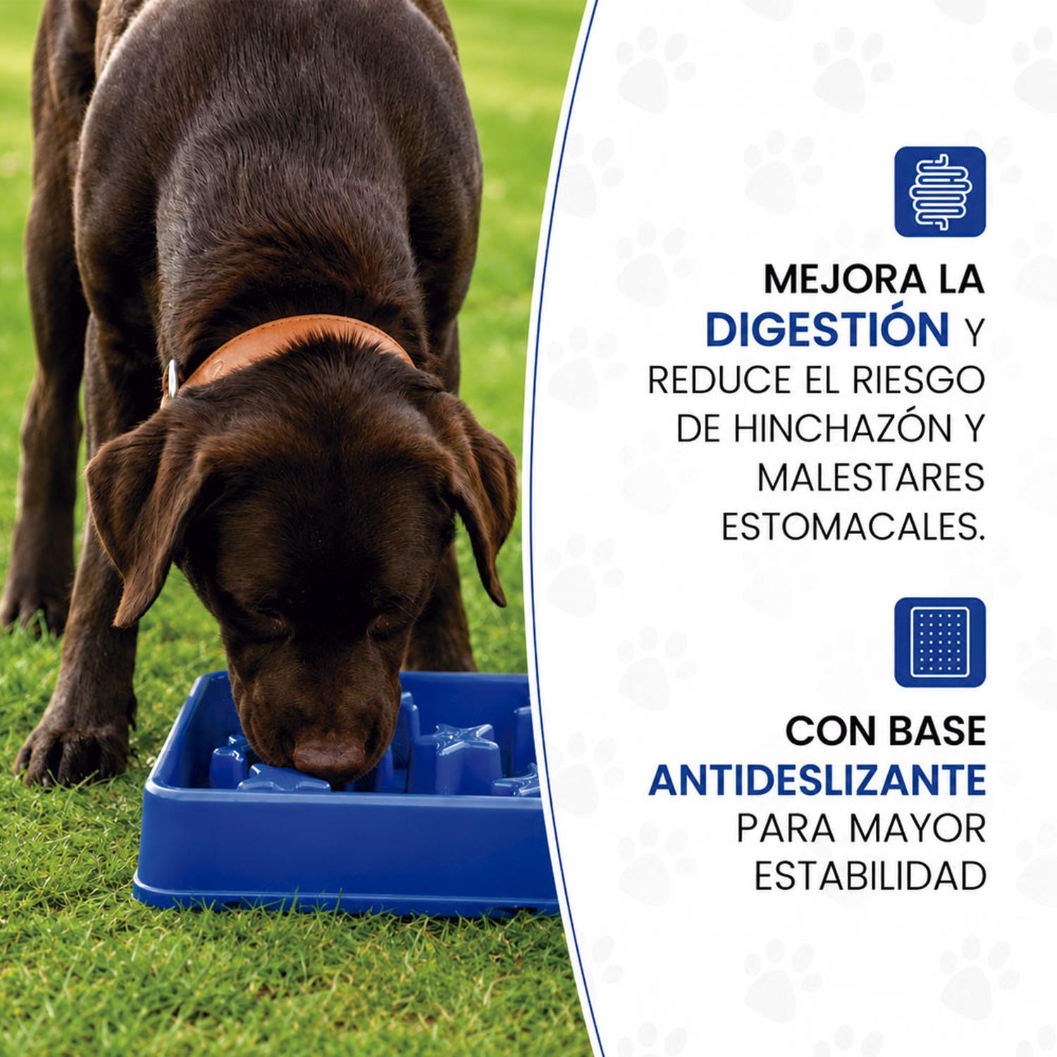 EAT SLOW LIVE LONGER PLATO COMEDERO ANTIESTRES 'S' - AZUL - 4