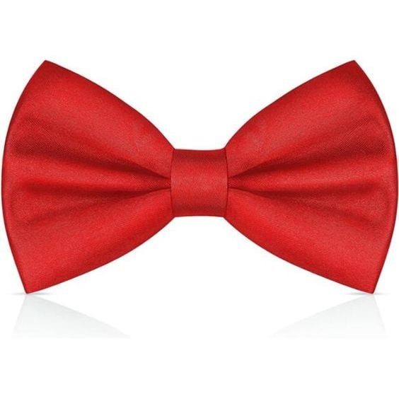 CORBATA ELEGANTE MICHI ADULTO | CLÁSICA - 1