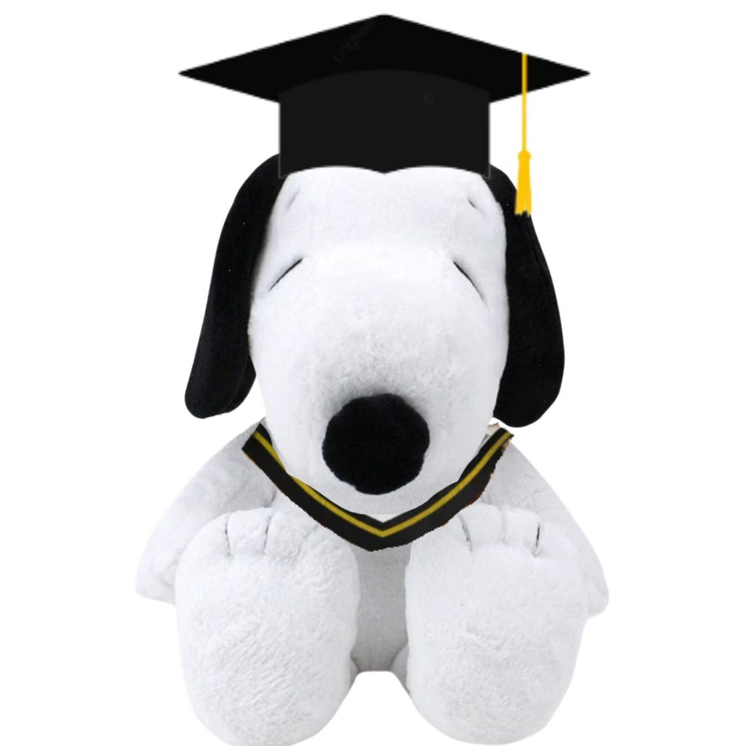 PELUCHE GRADUACION SNOOPY GRADUADO - MIDE 38 CM ALTO - 1