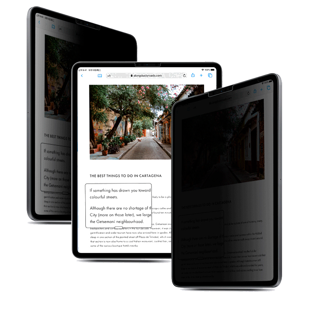 MICA PARA IPAD 9NA GEN 10.2' - A2604 DE CERÁMICA MATTE ANTIESPIA - 3