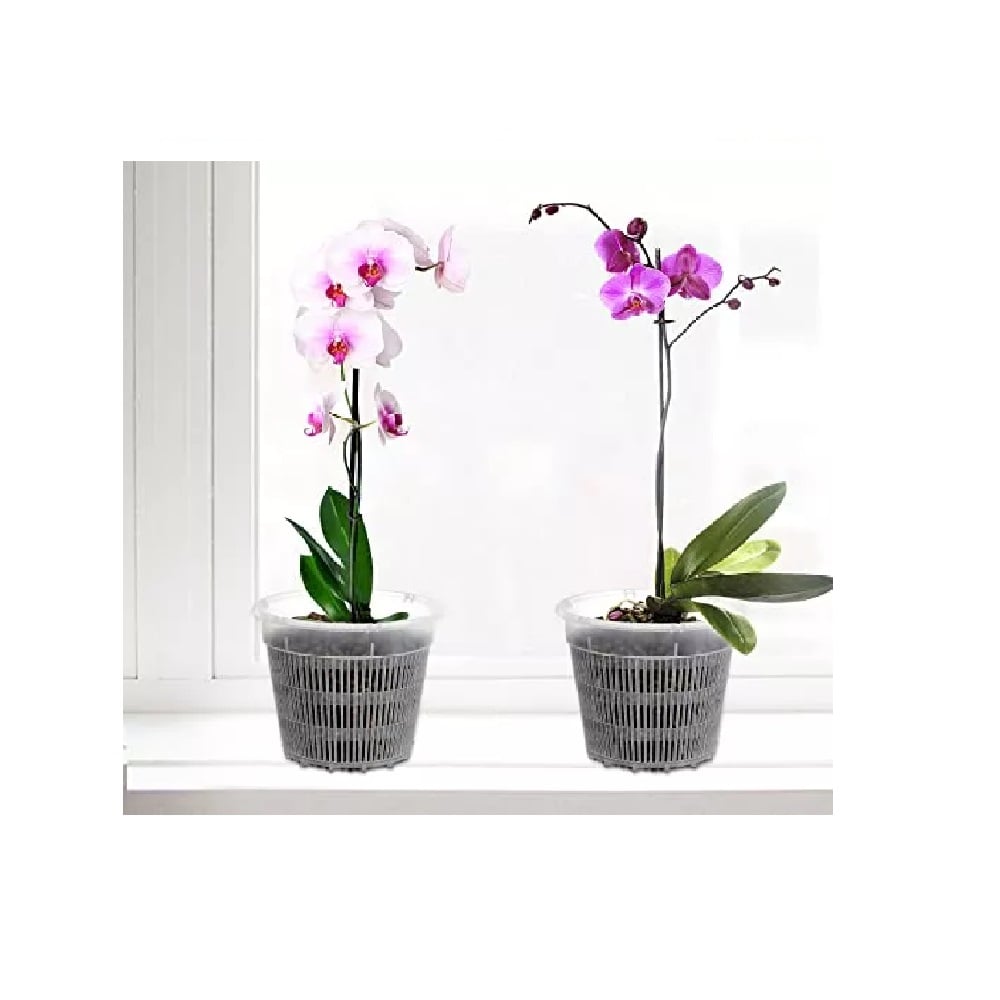 SET DE 3 MACETAS PARA ORQUÍDEAS DE 9.5 CM DE ANCHO - 1