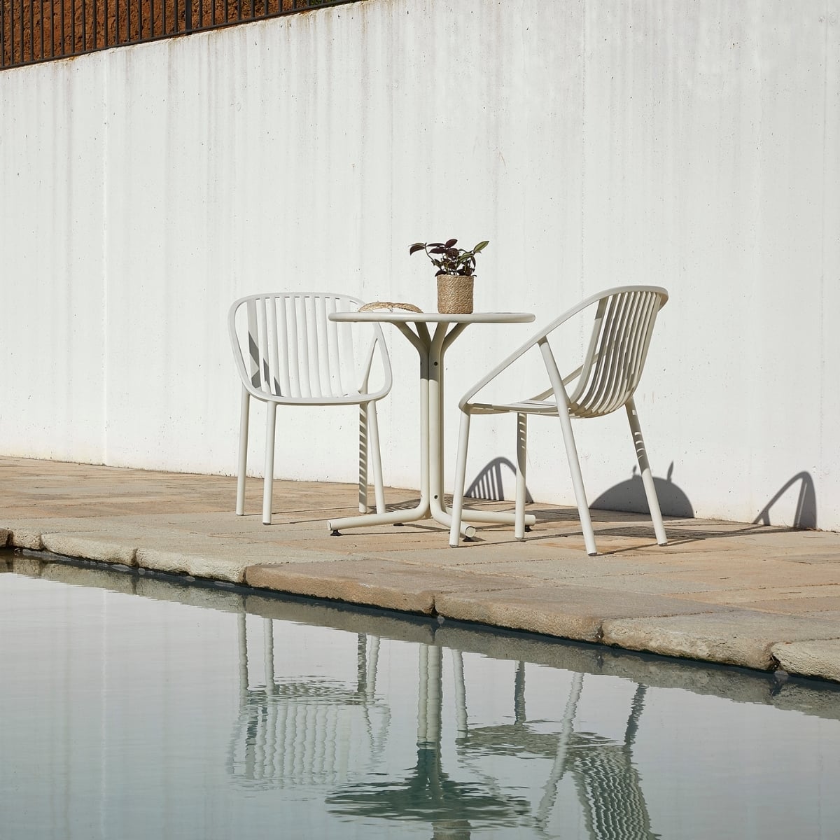 SILLA BINI ARENA - ZIYAZ - 3