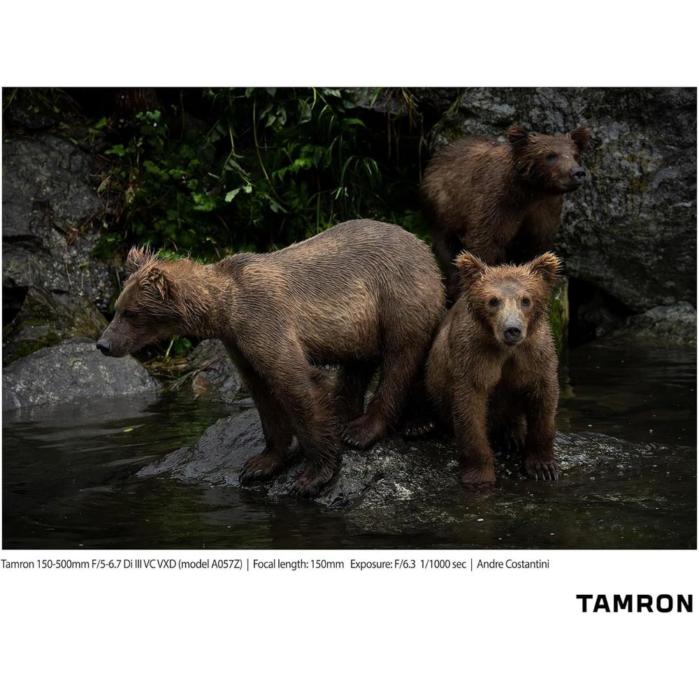 TAMRON LENTE 15-50CM F/5-6.7 DI III VC | NEGRO - 4