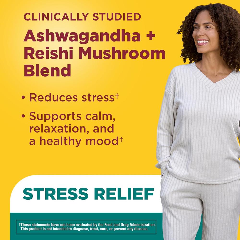 NATURE MADE ASHWAGANDHA KSM-66 + REISHI | 60 UND - 2