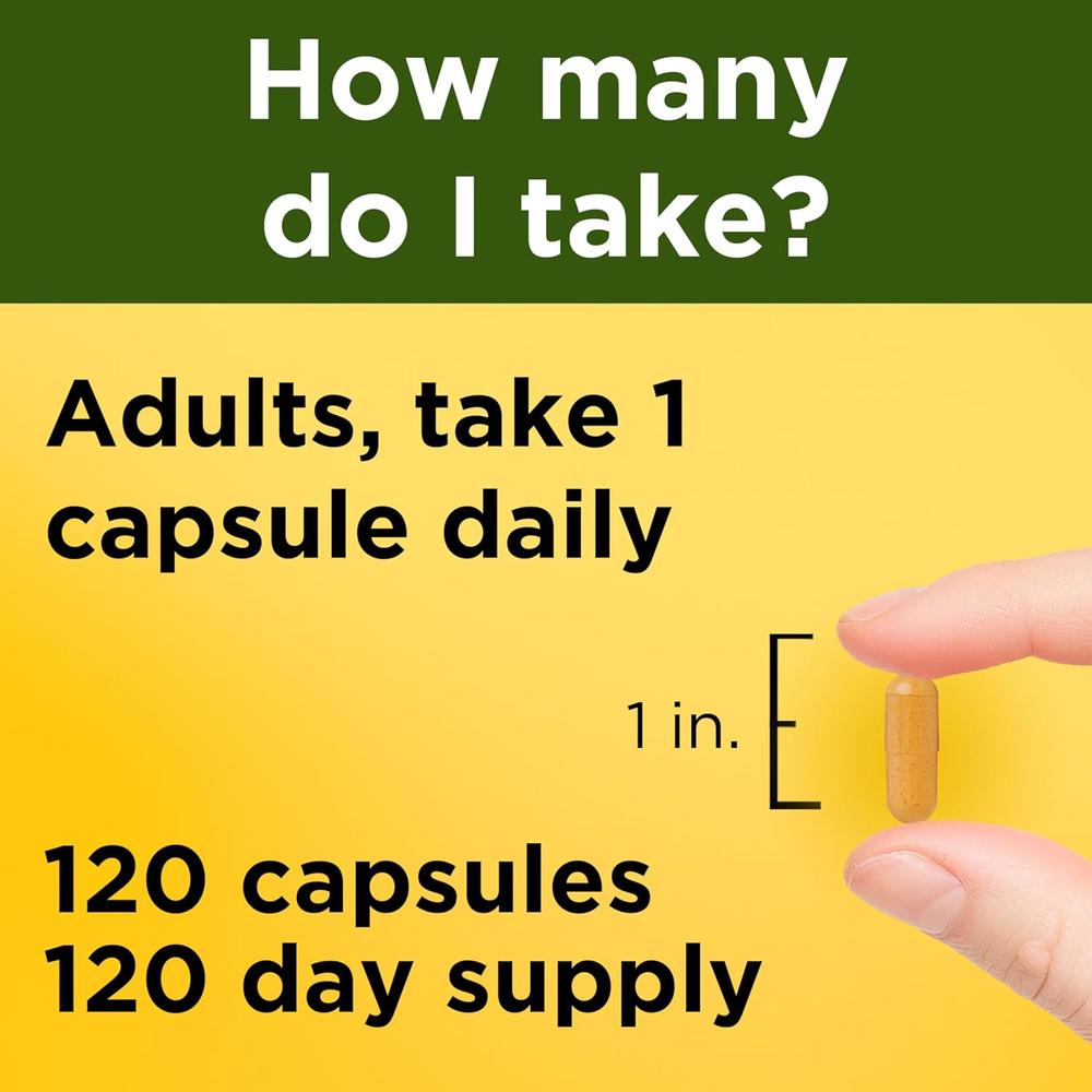 NATURE MADE CÚRCUMA 500 MG | 120 UND - 4