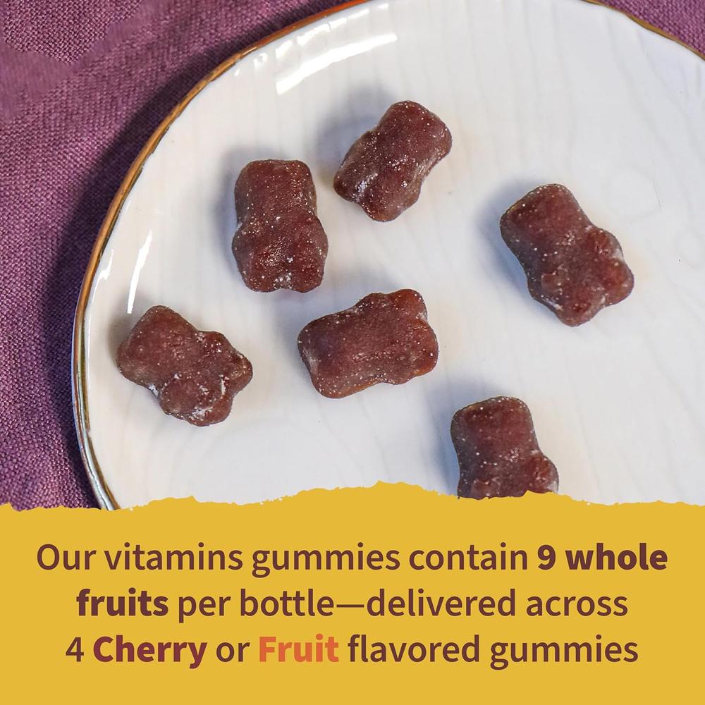 MULTIVITAMÍNICO GARDEN OF LIFE ORGANICS KIDS MULTI FRUTAS 120 GOMITAS | PACK 2 - 3