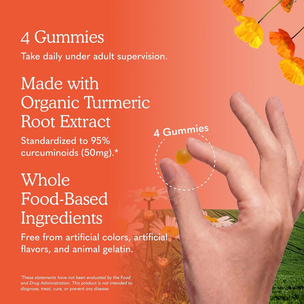 CÚRCUMA GARDEN OF LIFE ORGANICS CURCUMINA 50 MG 120 GOMITAS - 5