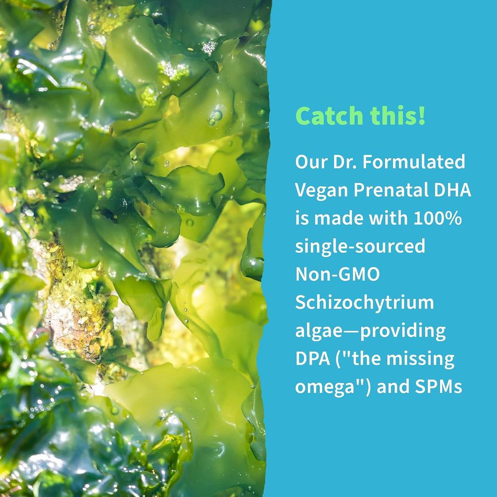OMEGA 3 DHA VEGANO GARDEN OF LIFE DR. FORMULATED PRENATAL 400 MG + DPA 90 MG 30 CÁPSULAS - 6