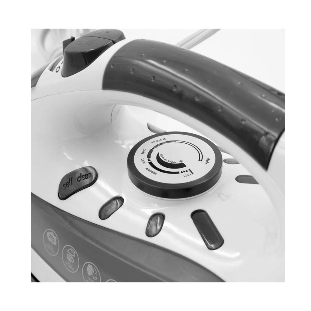 PLANCHA VAPOR RECORD REC-CLPB103 1200W 5 NIV. - 2