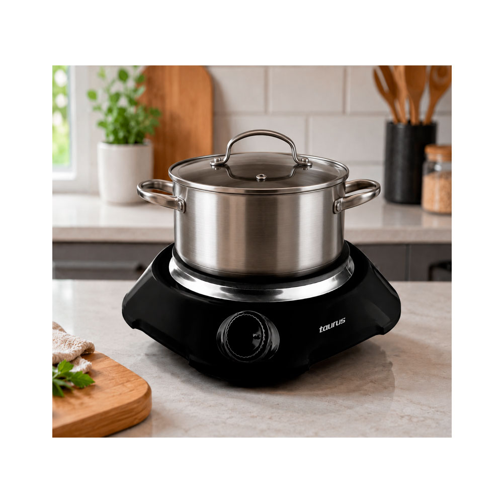 COCINA ELECTRICA TAURUS 1 HORNILLA FENIX - 2