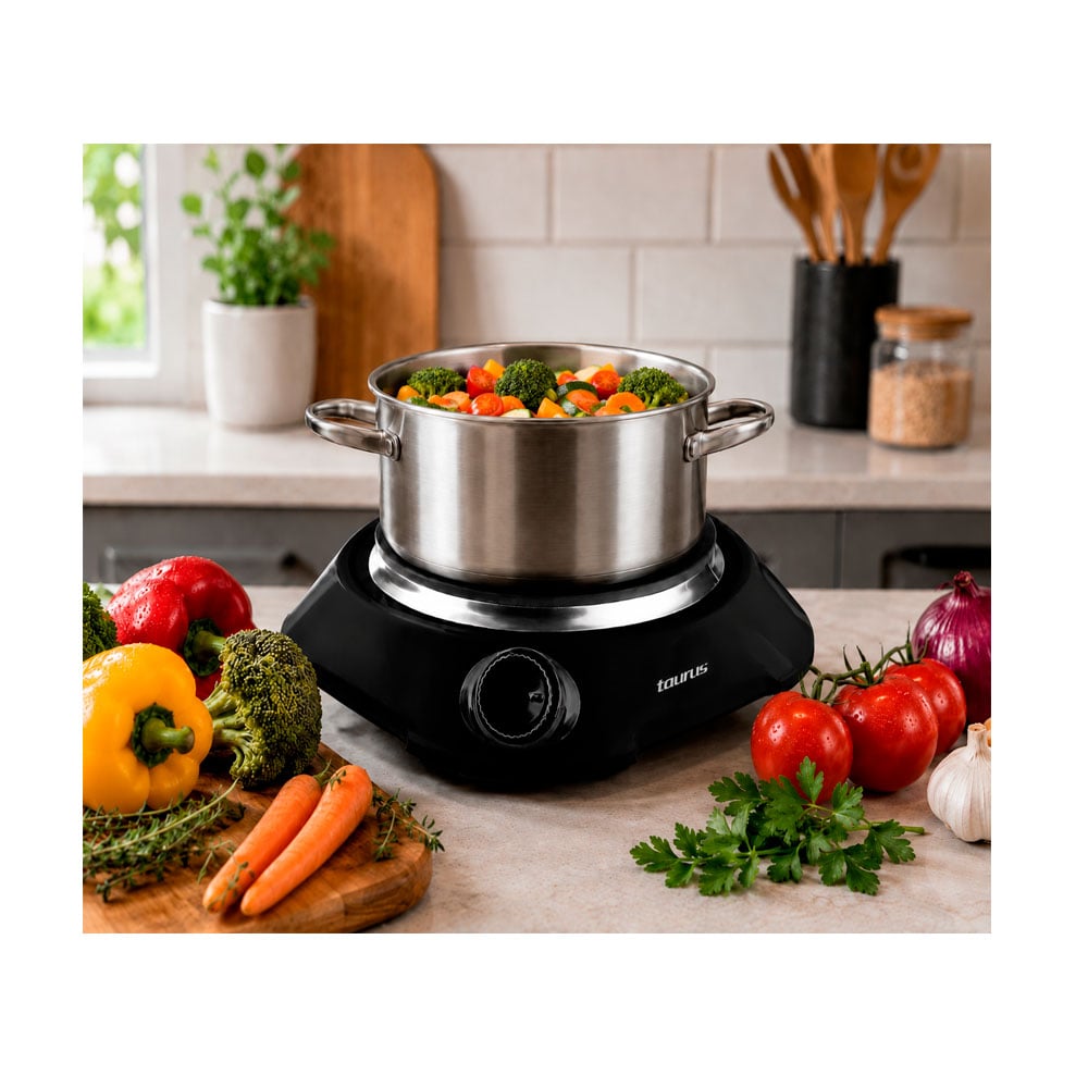 COCINA ELECTRICA TAURUS 1 HORNILLA FENIX - 3
