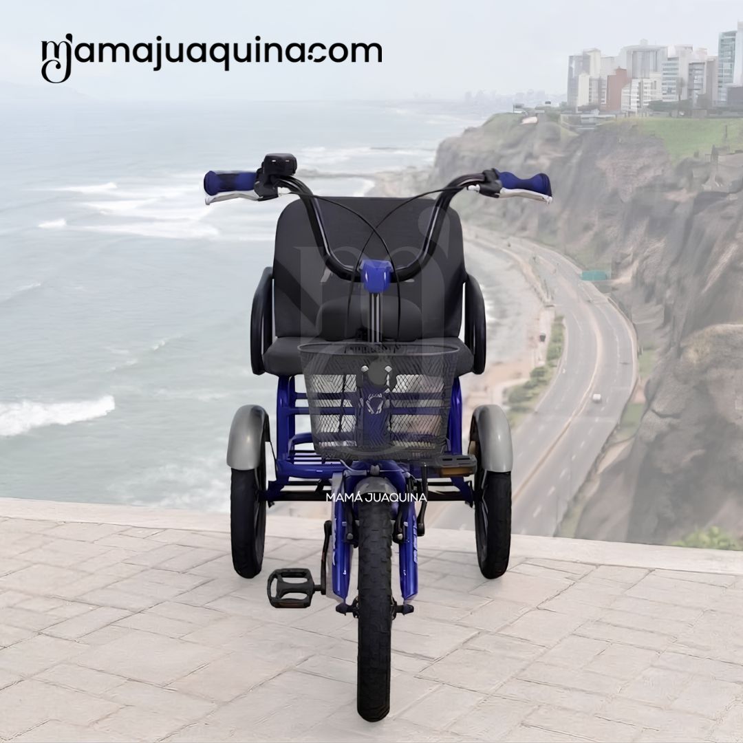 TRICICLO CONFORT TRENO AZUL DOBLE ASIENTO - 5