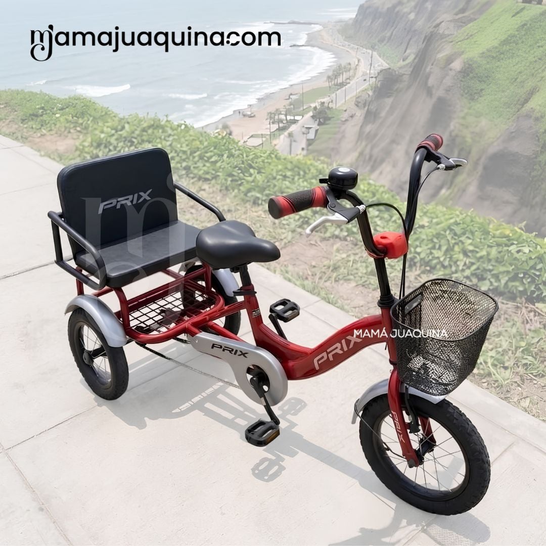 TRICICLO CONFORT TRENO ROJO OSCURO DOBLE ASIENTO - 6