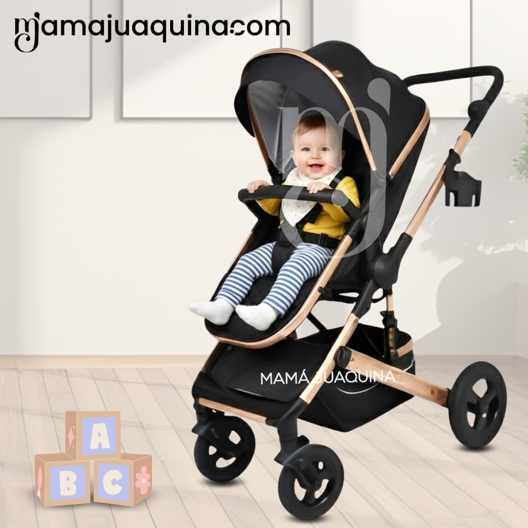 COCHE TRAVEL SYSTEM MOISÉS «ROMA II» EDICIÓN LIMITADA - 5