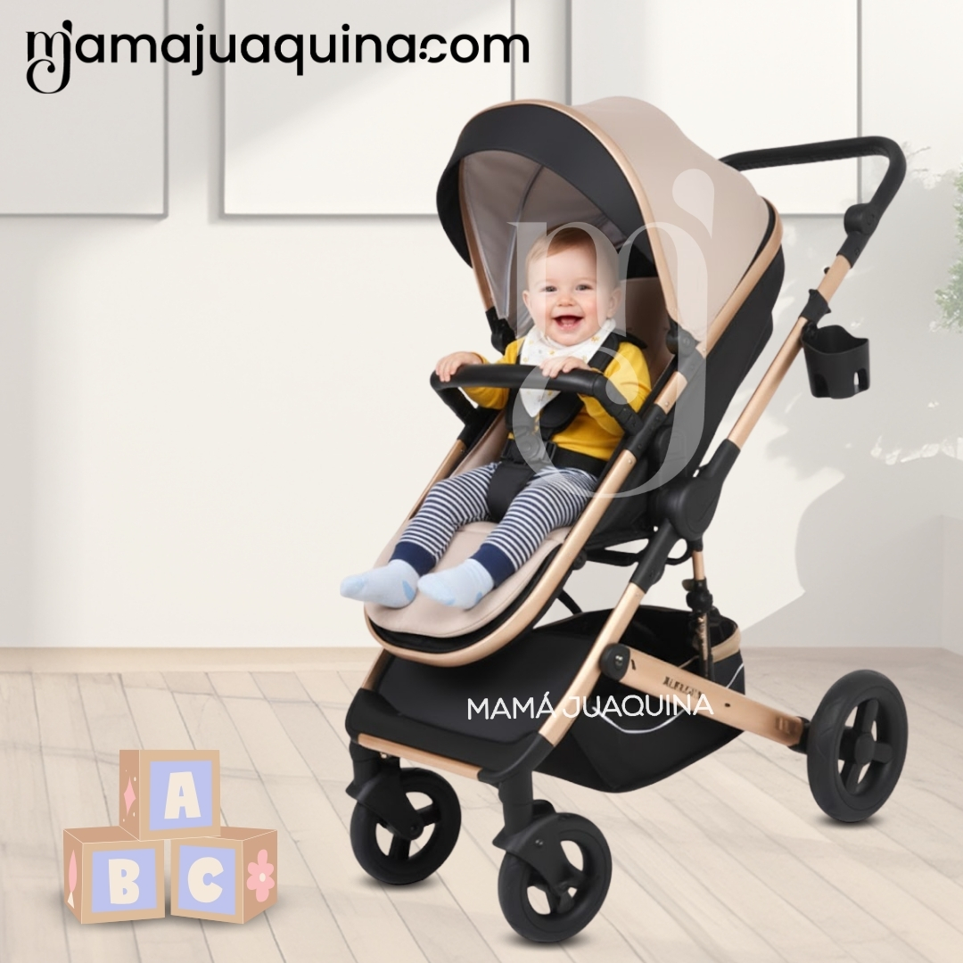 COCHE TRAVEL SYSTEM MOISÉS «ROMA II» EDICIÓN LIMITADA - 5