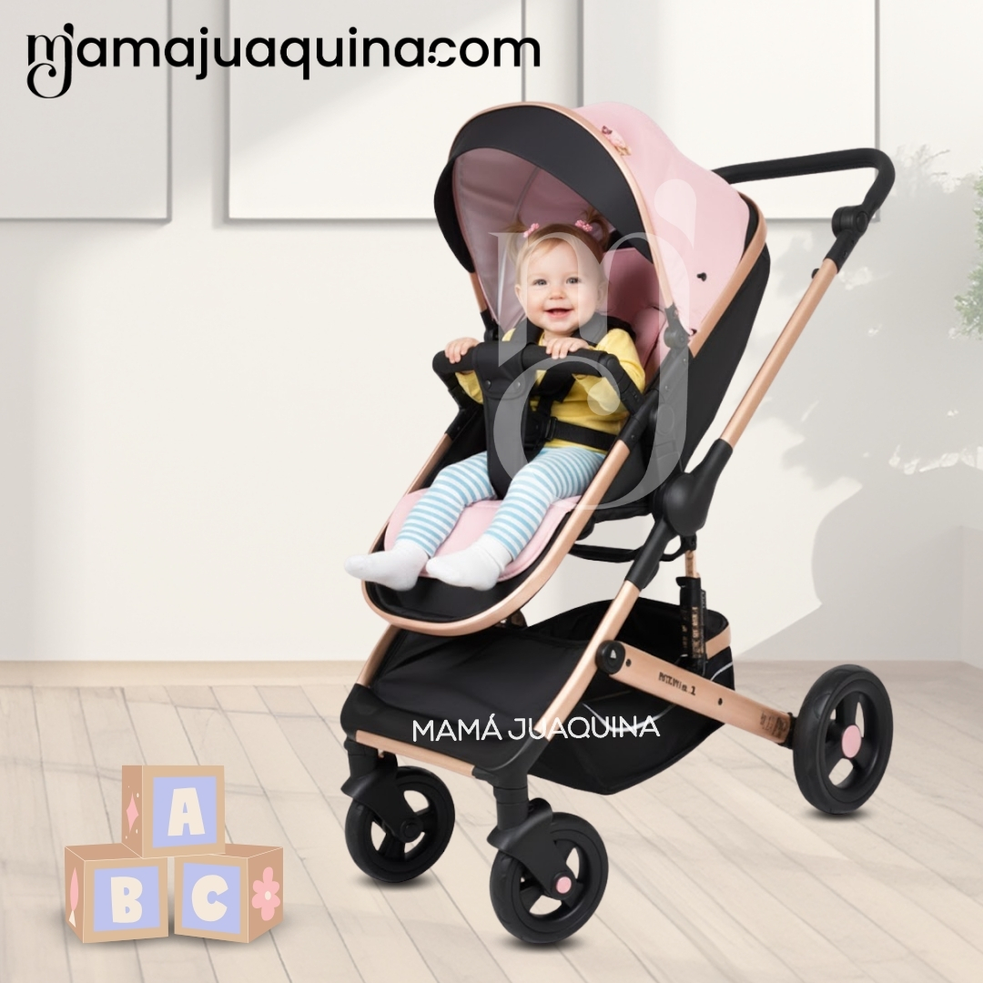 COCHE TRAVEL SYSTEM MOISÉS «ROMA II» EDICIÓN LIMITADA - 5