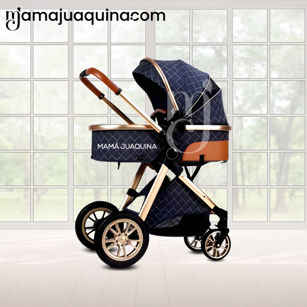 COCHE CUNA BABY GOLD LABELL AZUL MOISÉS LUJO CON PORTABEBÉ - 3