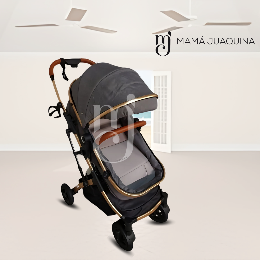 COCHE CUNA BABY GRIS MOISÉS LUJO CALIFORNIA EDICIÓN LIMITADA - 5