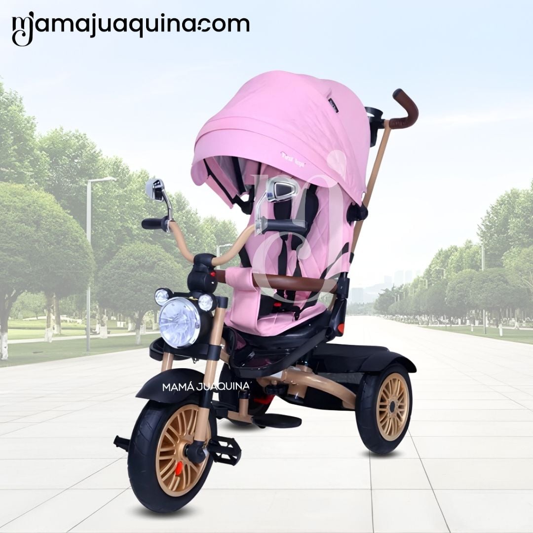 TRICICLO BABY TOYS WALK ROSA GUIADOR - 2