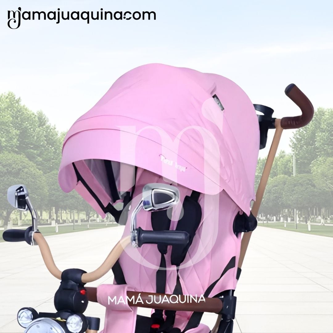 TRICICLO BABY TOYS WALK ROSA GUIADOR - 4