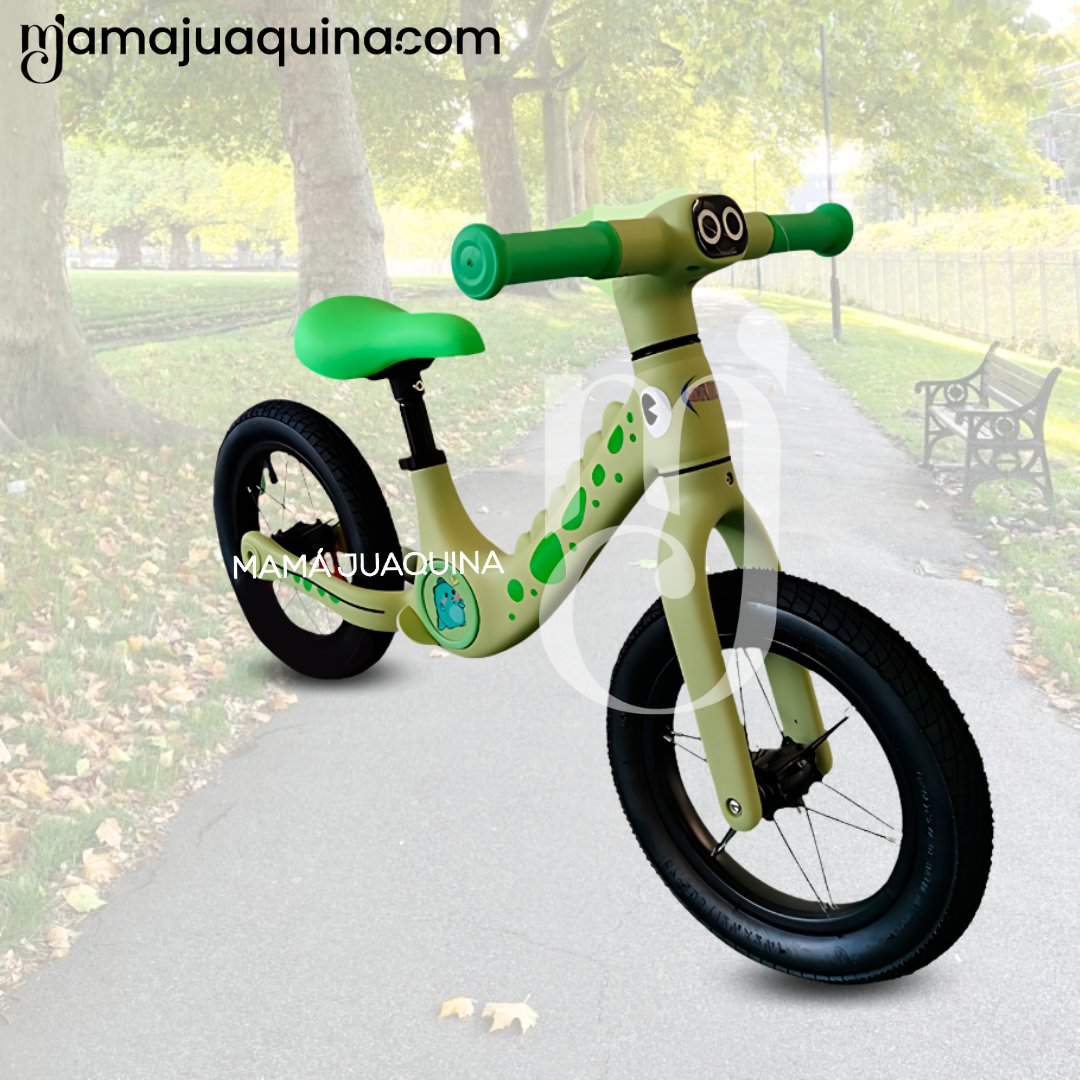 BICICLETA EQUILIBRIO BEAUTIFUL GIRAFFE VERDE - 5
