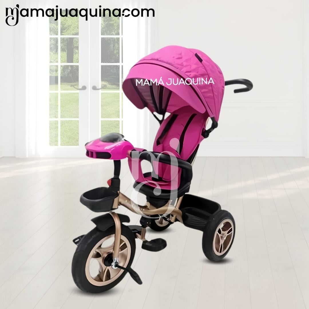 TRICICLO GUIADOR GIRATORIO «GOLDEN SPEED» PREMIUM PINK - 5