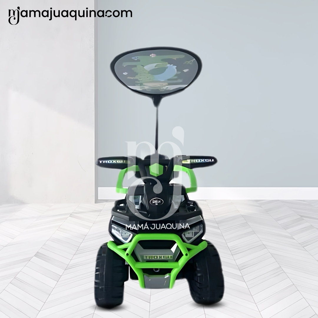 CORREPASILLO GUIADOR BUGGY «TERRA PLUS» VERDE - 5