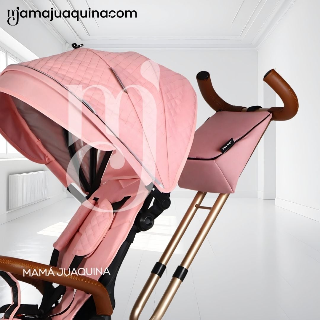 TRICICLO GUIADOR 3 EN 1 «GOLDEN PRIME» CON BLUETOOTH PINK - 5
