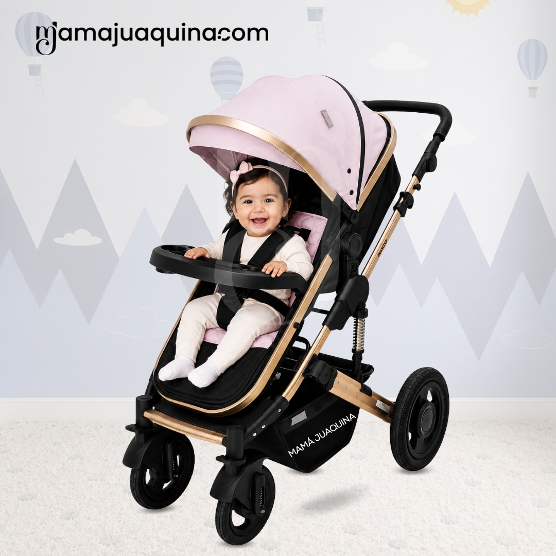 COCHE CUNA MOISÉS DE LUJO «PRADO GOLD» PINK - 5