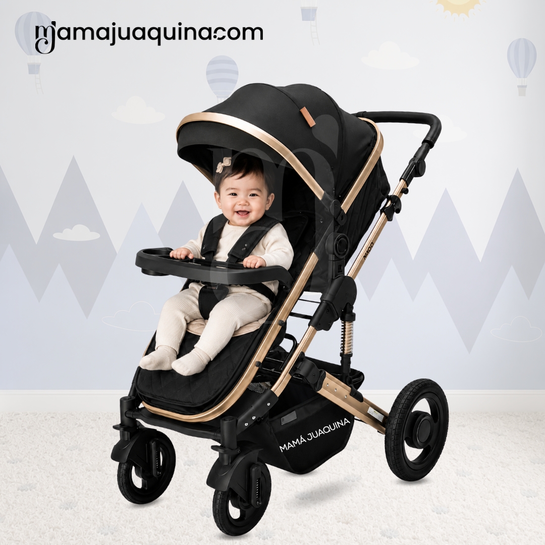 COCHE CUNA MOISÉS DE LUJO «PRADO GOLD» BLACK - 5
