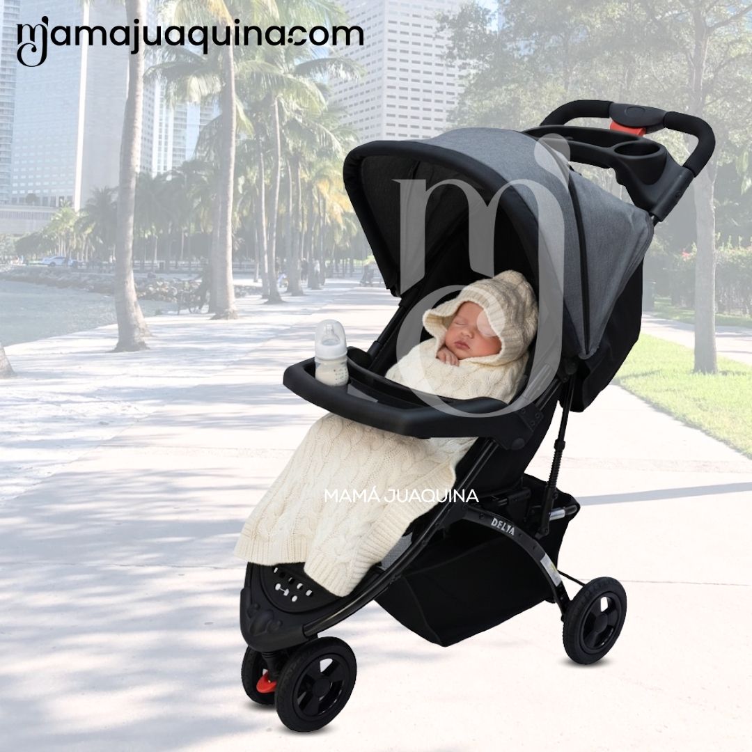 COCHE CUNA DEPORTIVO 3 RUEDAS «DELTA SPORT» GRAY - 2