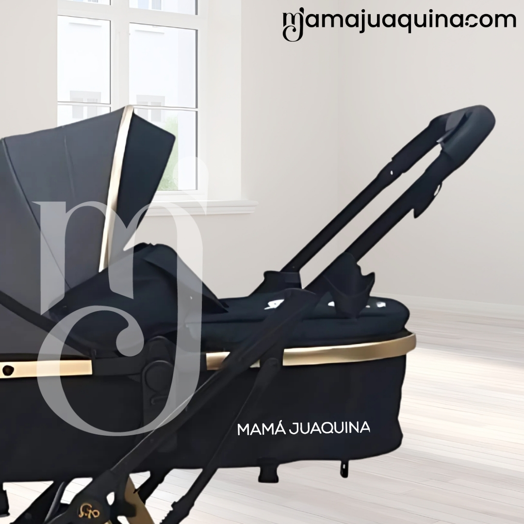 COCHE MOISÉS TRAVEL SYSTEM «INOVA PLUS» DE LUJO GRIS - 5