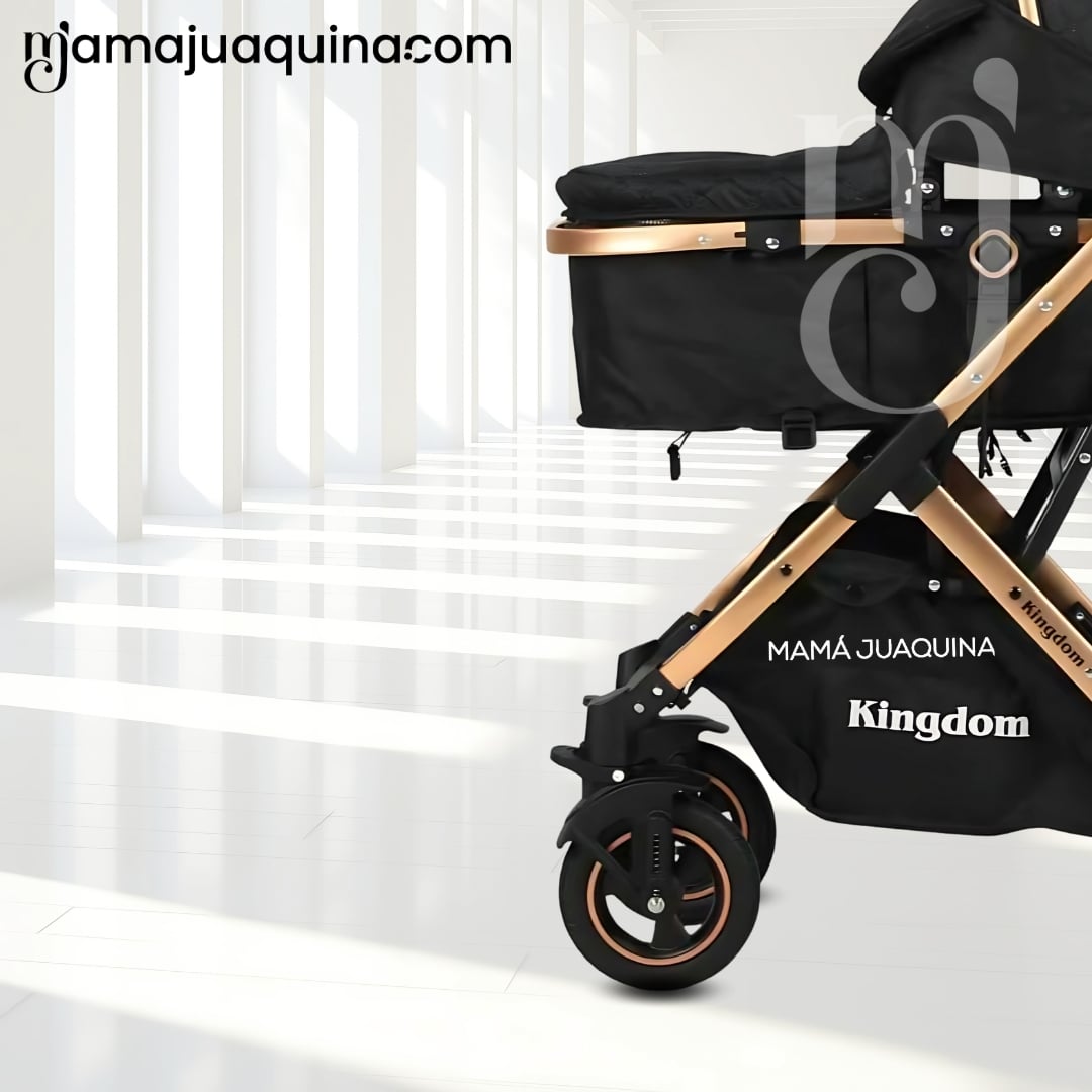 COCHE MOISÉS TRAVEL SYSTEM «BARBARA» CON BOLSA PAÑALERA BLACK - 2