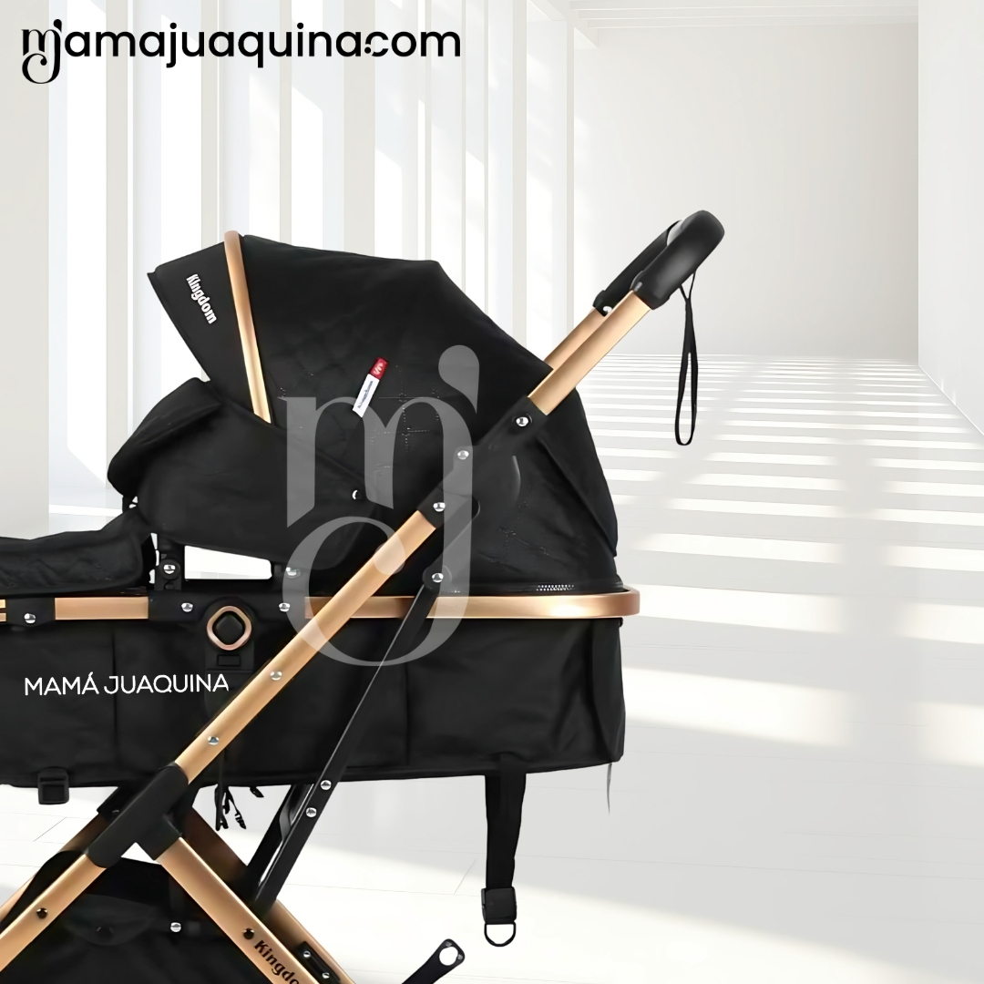 COCHE MOISÉS TRAVEL SYSTEM «BARBARA» CON BOLSA PAÑALERA BLACK - 3