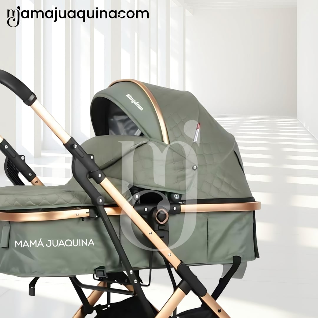 COCHE MOISÉS TRAVEL SYSTEM «BARBARA» CON BOLSA PAÑALERA VERDE - 4