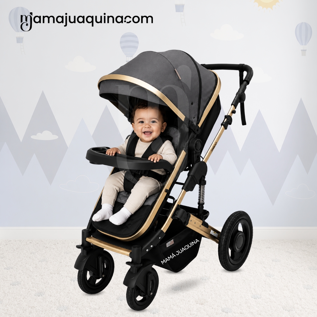 COCHE CUNA MOISÉS DE LUJO «PRADO GOLD» GRIS - 5