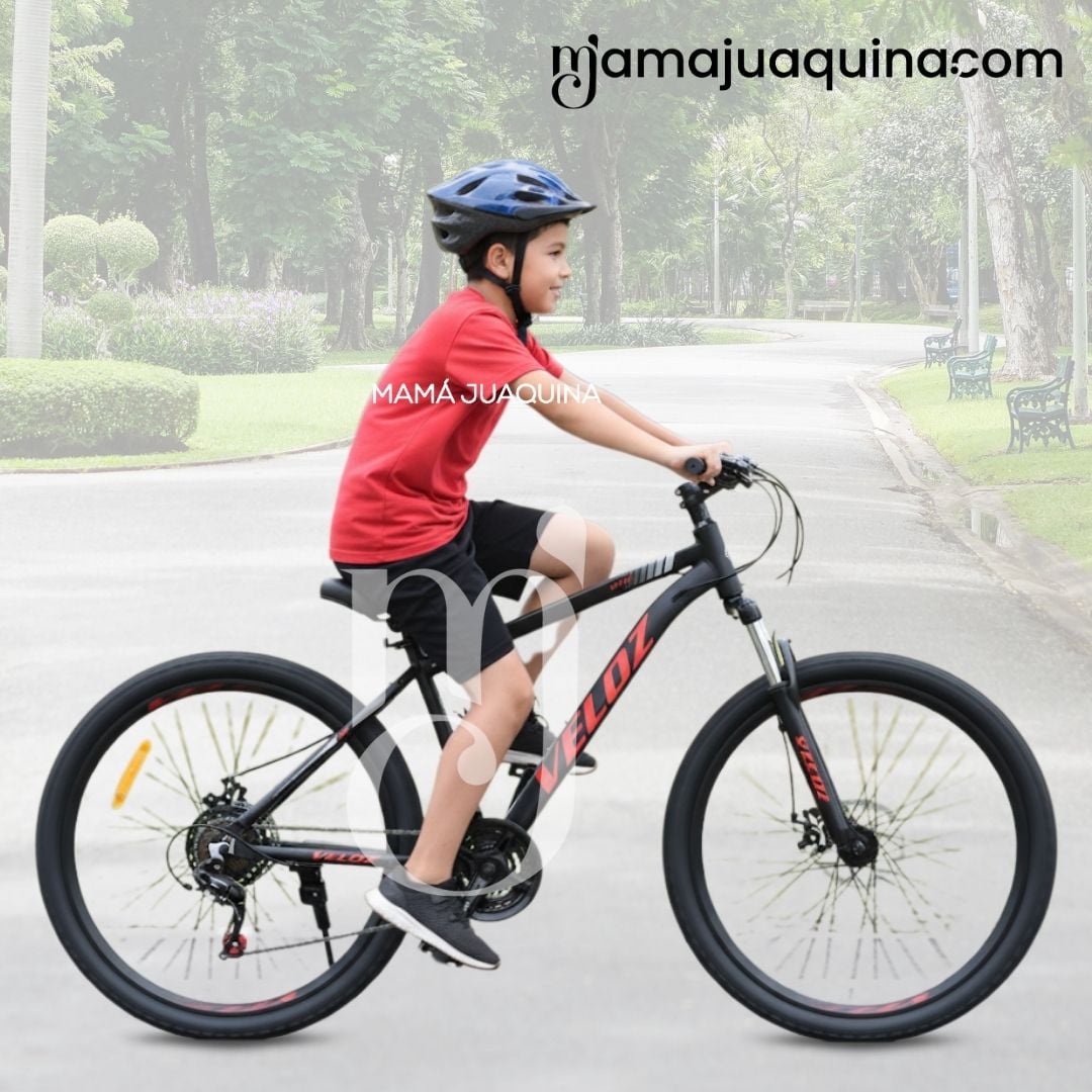 BICICLETA DEPORTIVA ARO 24 «PATHWAY» EDICIÓN LIMITADA RED - 5