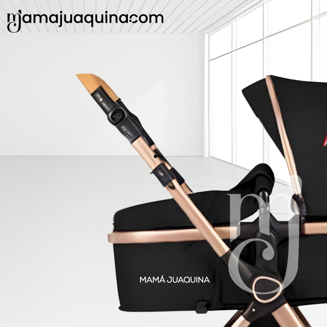 COCHE MOISÉS TRAVEL SYSTEM «BUMI» DE LUJO BLACK - 2