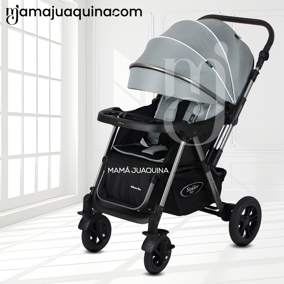 COCHE CUNA DE LUJO «SILVER» CON MANGO REVERSIBLE GRAY - 2