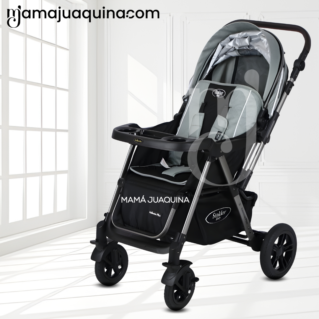 COCHE CUNA DE LUJO «SILVER» CON MANGO REVERSIBLE GRAY - 3