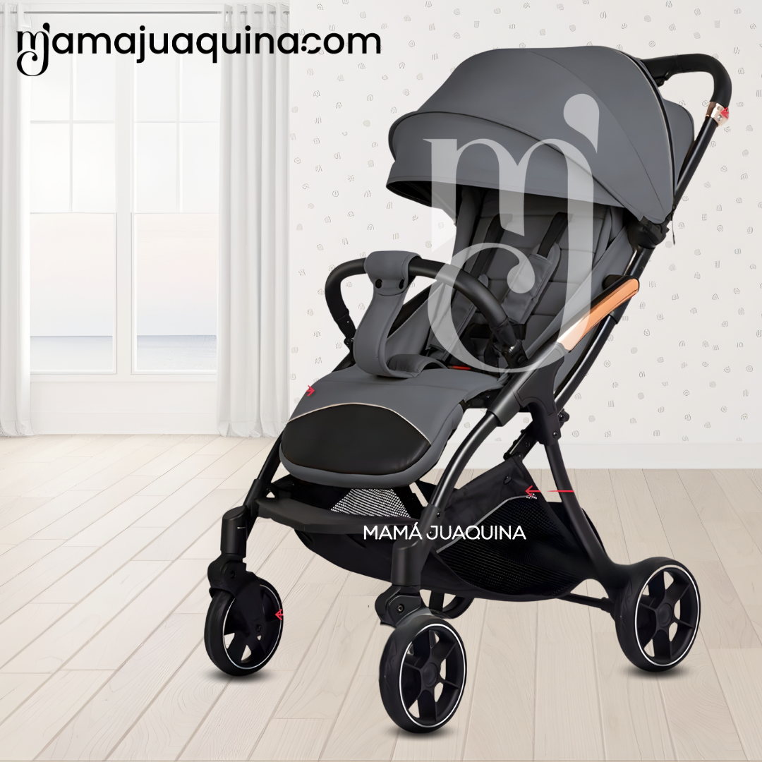 COCHE MALETA DE LUJO «KEYLA» EDICIÓN LIMITADA GRAY - 2