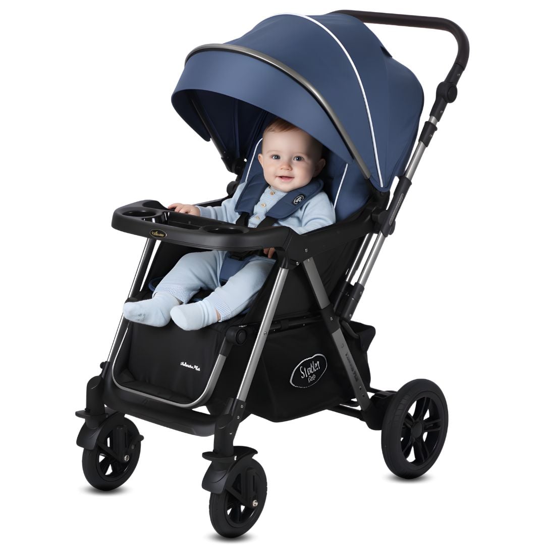 COCHE CUNA DE LUJO «SILVER» CON MANGO REVERSIBLE BLUE - 1