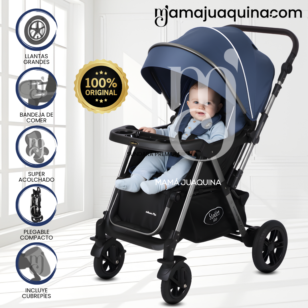 COCHE CUNA DE LUJO «SILVER» CON MANGO REVERSIBLE BLUE - 1