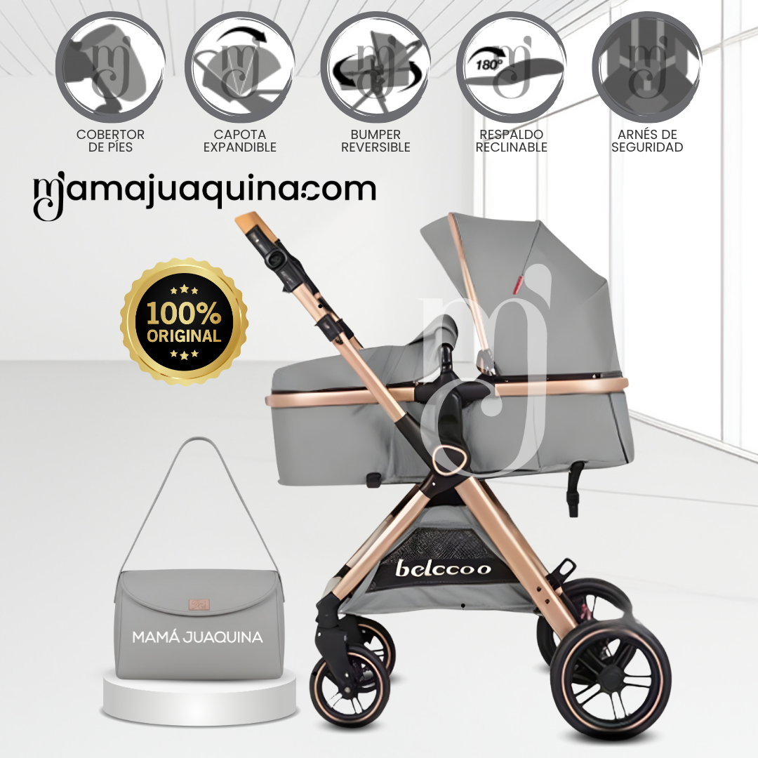COCHE MOISÉS TRAVEL SYSTEM «BUMI» DE LUJO GRAY - 1