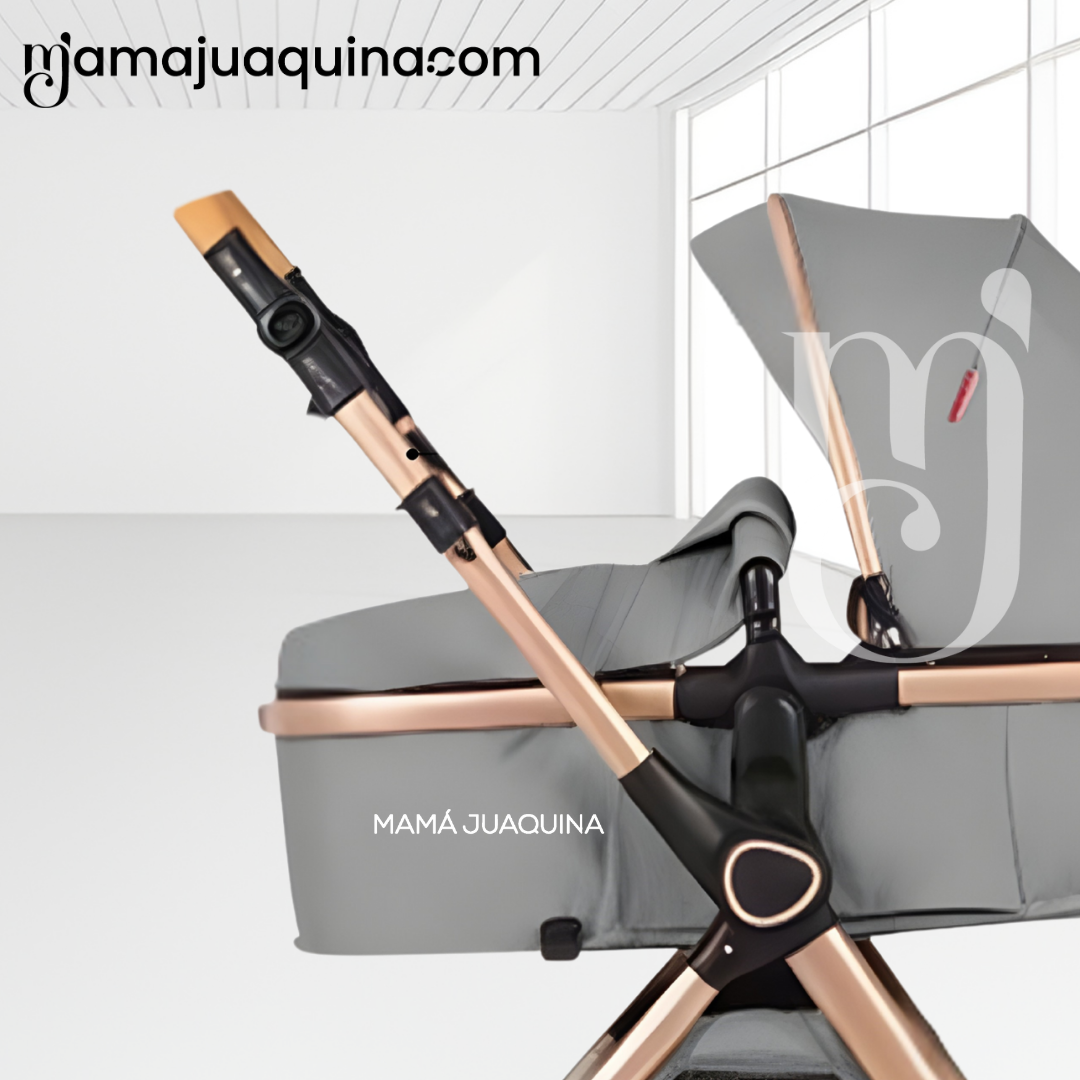 COCHE MOISÉS TRAVEL SYSTEM «BUMI» DE LUJO GRAY - 3