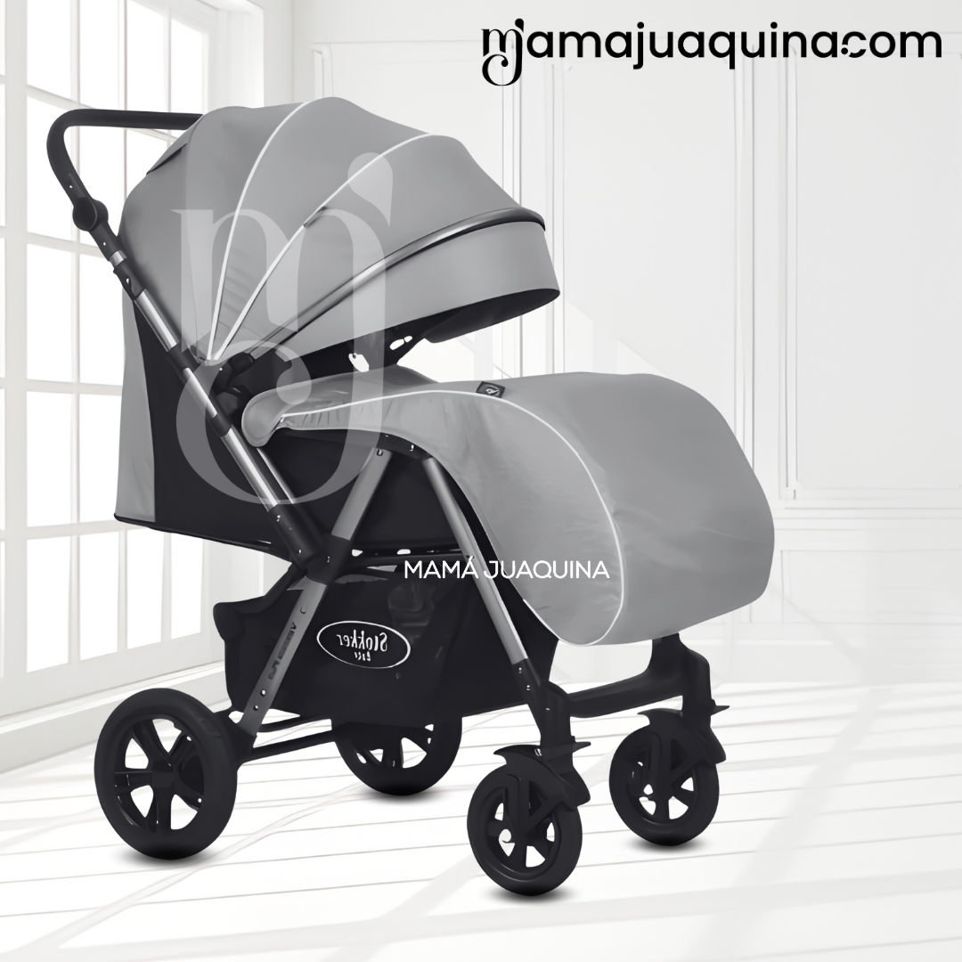 COCHE CUNA DE LUJO «SILVER» CON MANGO REVERSIBLE PINK - 5