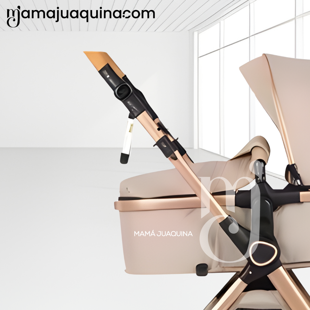 COCHE MOISÉS TRAVEL SYSTEM «BUMI» DE LUJO BEIGE - 2