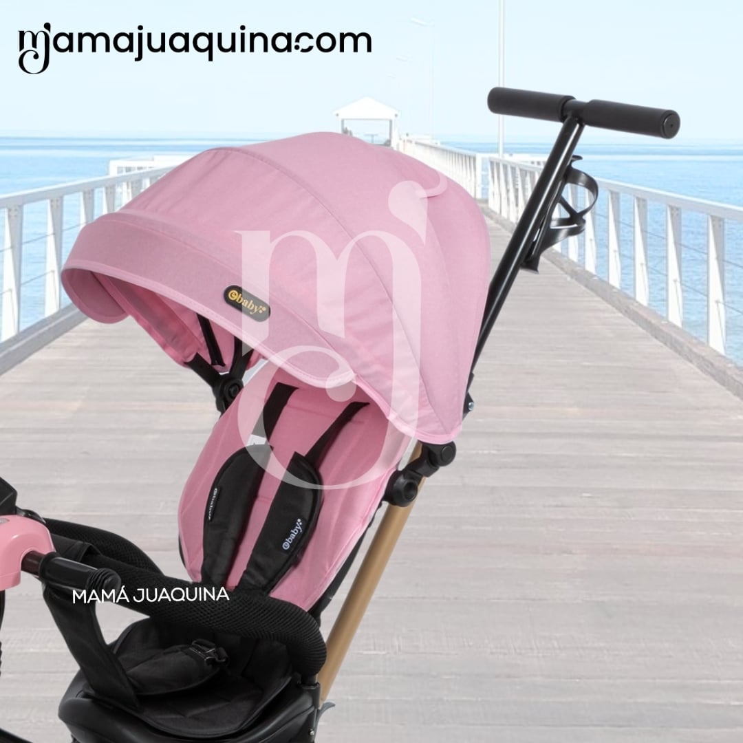 TRICICLO GUIADOR GIRATORIO «WUNDER» EDICIÓN LIMITADA PINK - 4